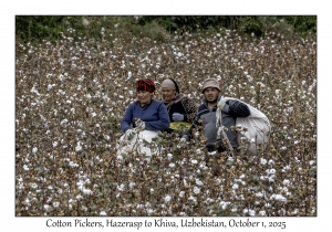 2025-10-01#3001 Cotton Pickers, Hazerasp to Khiva, Uzbekistan