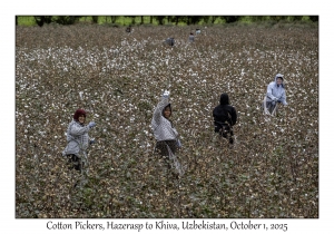 2025-10-01#3009 Cotton Pickers, Hazerasp to Khiva, Uzbekistan