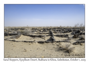 2025-10-01#5721 Sand Stoppers, Kyzylkum Desert, Bukhara to Khiva, Uzbekistan