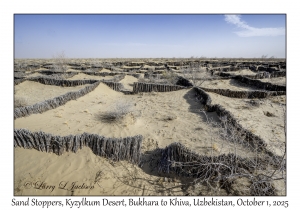 2025-10-01#5722 Sand Stoppers, Kyzylkum Desert, Bukhara to Khiva, Uzbekistan