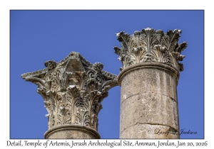 2026-01-20#3515 Detail, Temple of Artemis, Jerash Archeological Site, Amman, Jordan