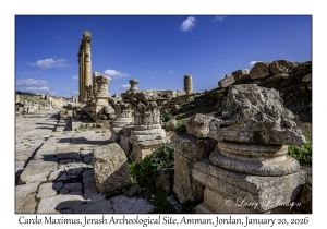 2026-01-20#5881 Cardo Maximus, Jerash Archeological Site, Amman, Jordan