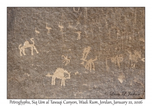 2026-01-22#3842 Petroglyphs, Siq Um al Tawaqi Canyon, Wadi Rum, Jordan