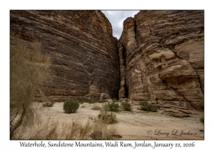 2026-01-22#5920 Waterhole, Sandstone Mountains, Wadi Rum, Jordan