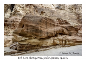 2026-01-24#6035 Fish Rock, The Sig, Petra, Jordan