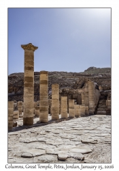 2026-01-25#4398 Columns, Great Temple, Petra, Jordan