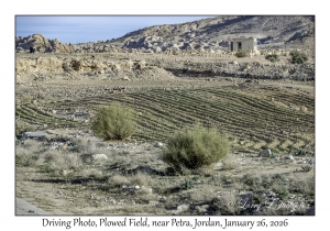 2026-01-26#4474 Driving Photo, Plowed Field, near Petra, Jordan