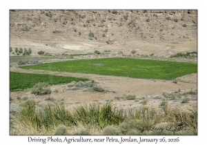 2026-01-26#4481 Driving Photo, Agriculture, near Petra, Jordan