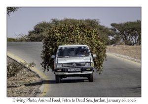 2026-01-26#4615 Driving Photo, Animal Food, Petra to Dead Sea, Jordan