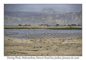 2026-01-26#4626 Driving Photo, Watermelons, Petra to Dead Sea, Jordan
