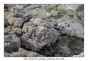 2026-01-26#4724 Salt, Dead Sea, Jordan