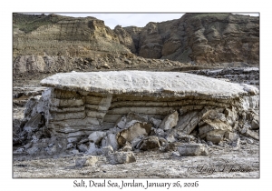 2026-01-26#4732 Salt, Dead Sea, Jordan