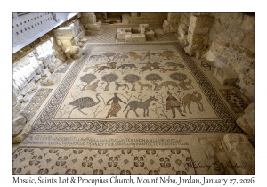 2026-01-27#6151 Mosaic, Sts Lot & Procopius Church, Mt Nebo, Jordan