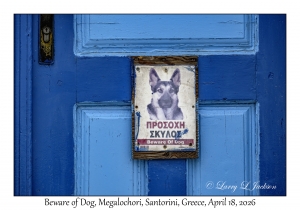 Beware of Dog
