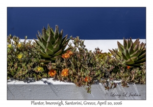2026-04-20#5634 Planter, Imerovigli, Santorini, Greece