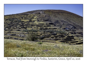 2026-04-20#5668 Terraces, Trail from Imerovigli to Finikia, Santorini, Greece