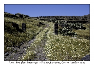 2026-04-20#5678 Road, Trail from Imerovigli to Finikia, Santorini, Greece