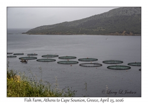 Fish Farm