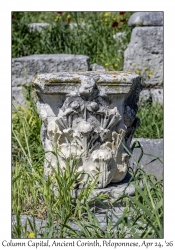 Column Capital