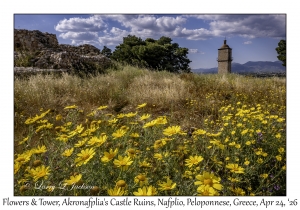 Flowers & Tower