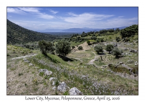 Lower City