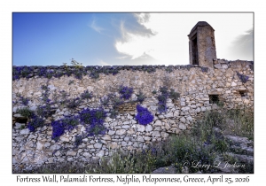 Fortress Wall