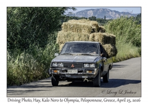 Hay