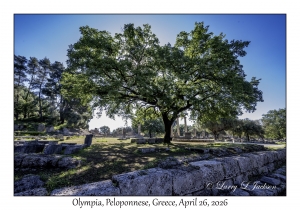 Olympia