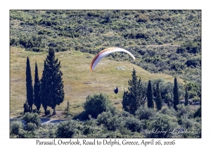Parasail