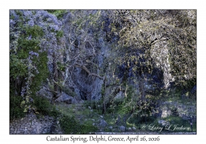 Castalian Spring