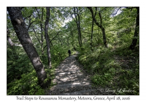 Trail Steps