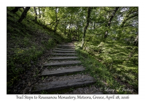 Trail Steps