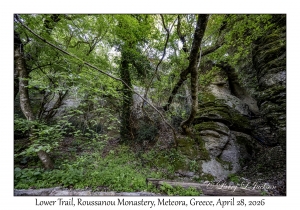 Lower Trail