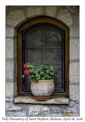 Window & Geranium