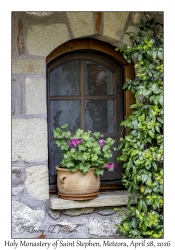 Window & Geranium