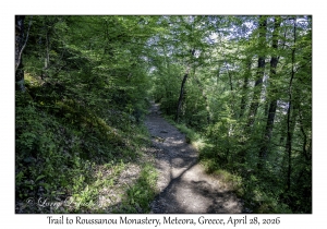 Trail