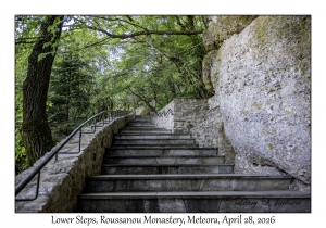 Lower Steps